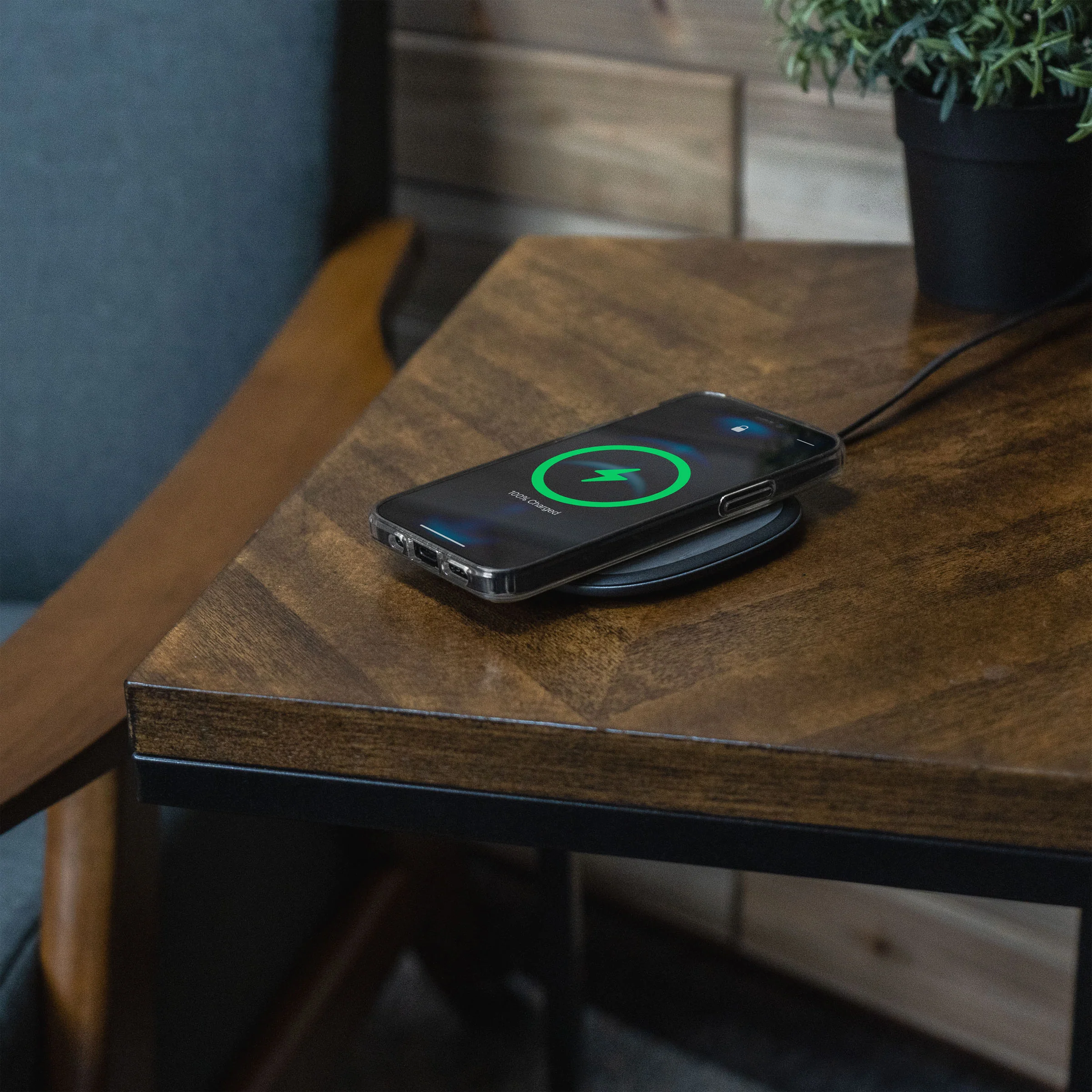 APOLLO + WALLY Single Wireless Bundle - Image 11