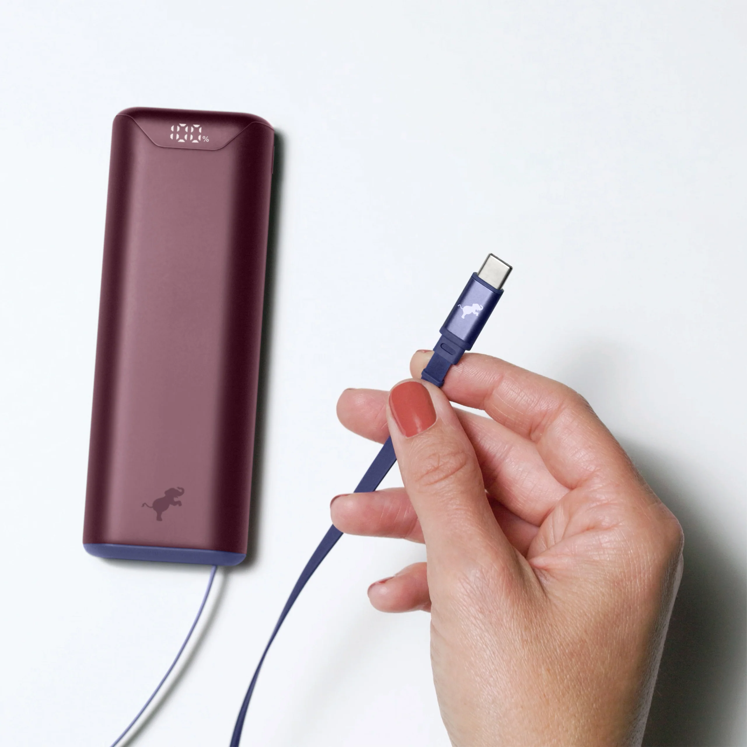 CHAMP Stretch Portable Charger - Image 6
